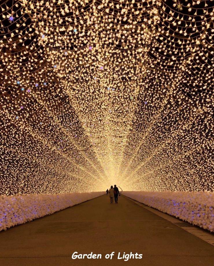 daily picdump 94 pics 3.html - 94 HD Photos | Premium Gallery 2018