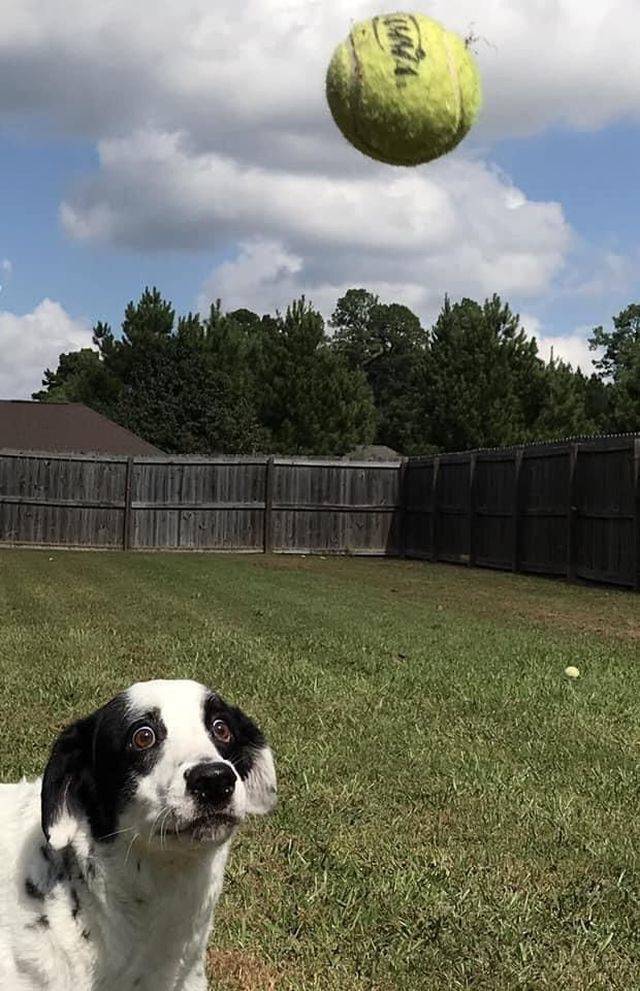 daily picdump 94 pics 3.html - 94 HD Photos | Premium Gallery 2018