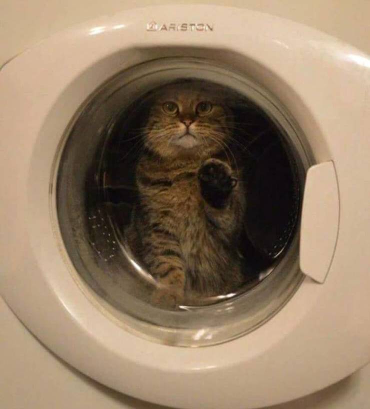 daily picdump 94 pics 3.html - 94 HD Photos | Premium Gallery 2018