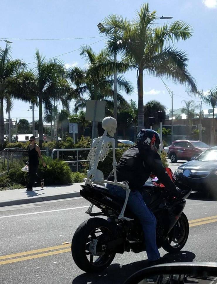 daily picdump 94 pics 3.html - 94 HD Photos | Premium Gallery 2018