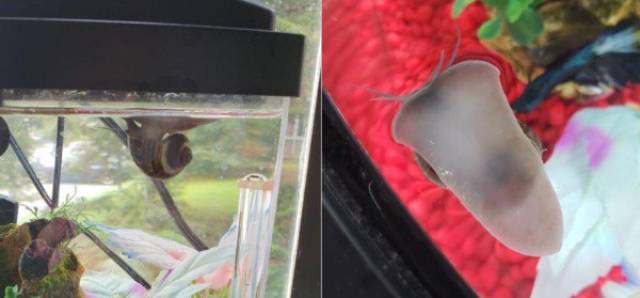 If These Are Not Cool, Then What Is?