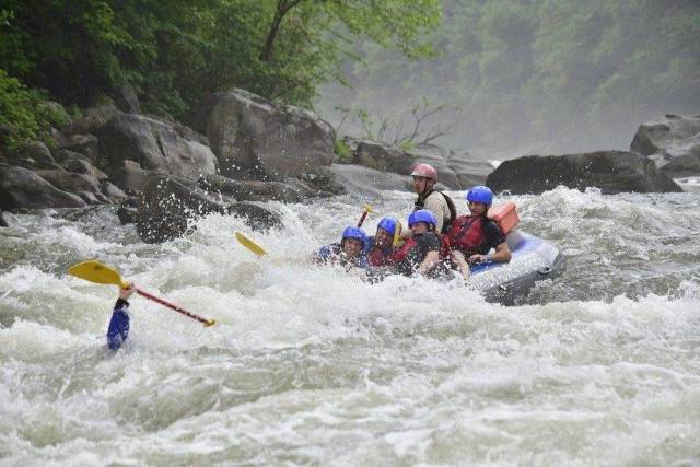 daily picdump 91 pics 7.html - 91 HD Photos | Premium Gallery 2018