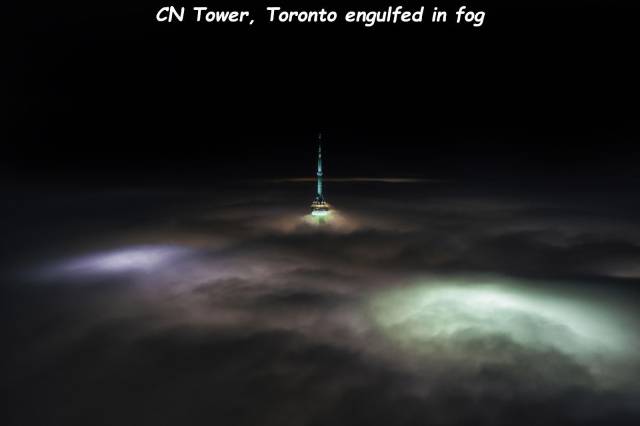 daily picdump 91 pics 7.html - 91 HD Photos | Premium Gallery 2018