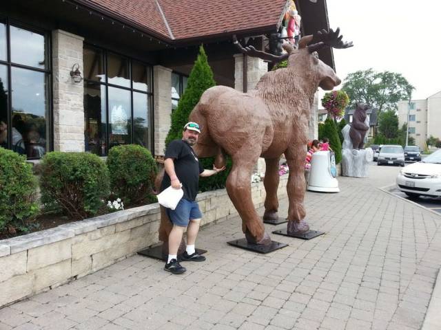 daily picdump 91 pics 7.html - 91 HD Photos | Premium Gallery 2018