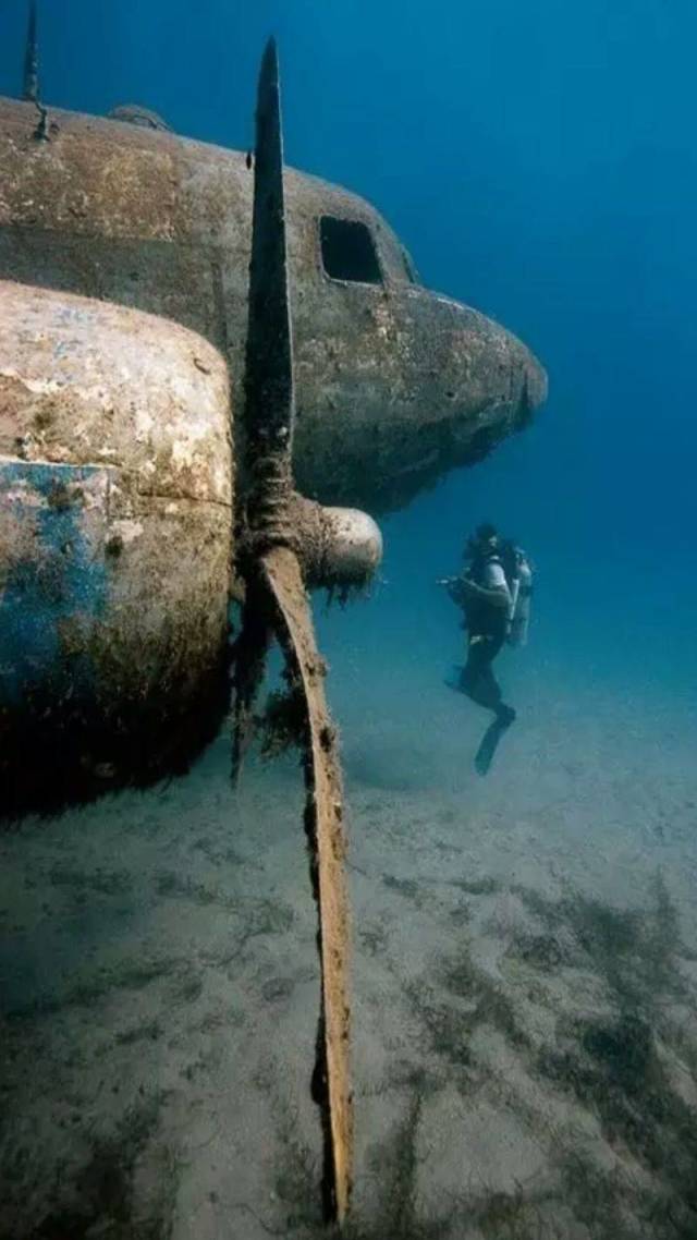 daily picdump 91 pics 7.html - 91 HD Photos | Premium Gallery 2018