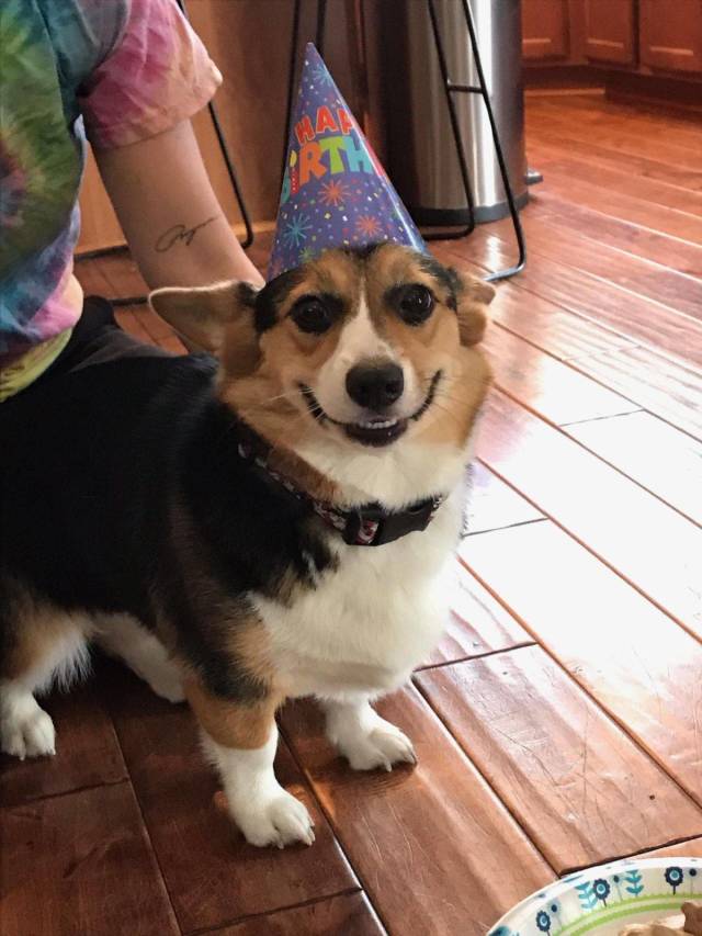 daily picdump 91 pics 7.html - 91 HD Photos | Premium Gallery 2018