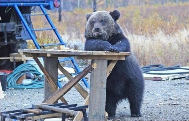 morning picdump 50 pics 3.html - 50 HD Photos | Premium Gallery 2018