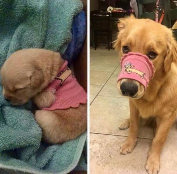 Daily Picdump
