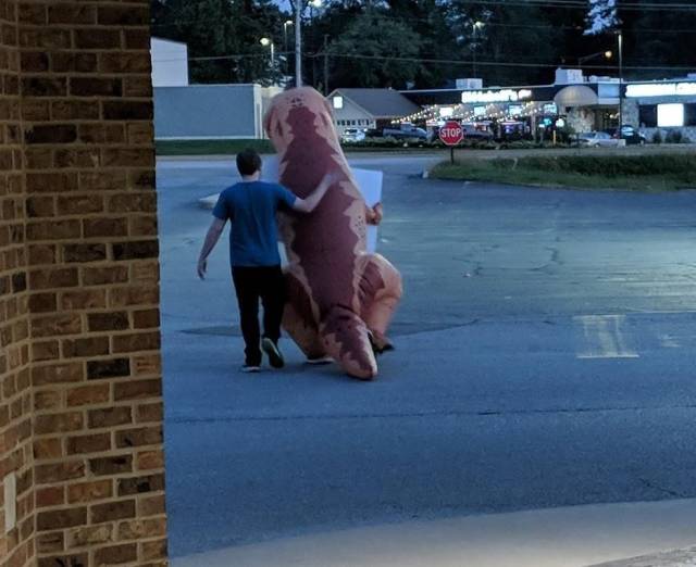 daily picdump 95 pics 25.html - 95 HD Photos | Premium Gallery 2018