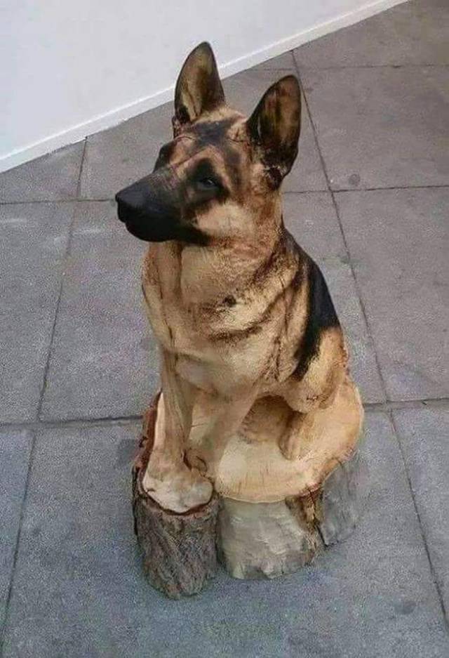 daily picdump 95 pics 25.html - 95 HD Photos | Premium Gallery 2018