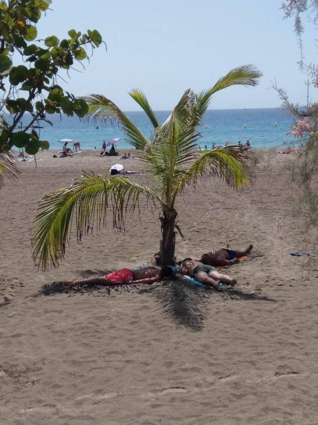 daily picdump 95 pics 25.html - 95 HD Photos | Premium Gallery 2018