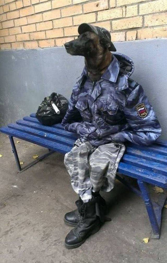 daily picdump 95 pics 25.html - 95 HD Photos | Premium Gallery 2018