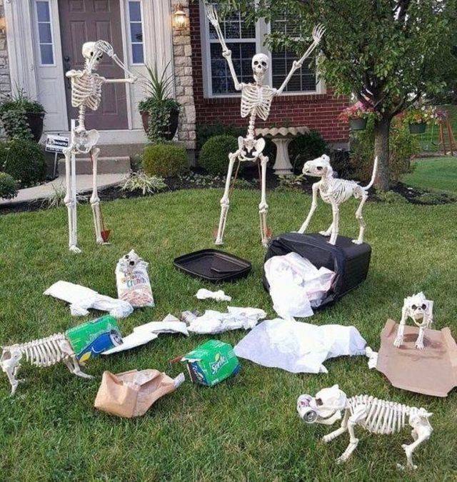 daily picdump 95 pics 25.html - 95 HD Photos | Premium Gallery 2018