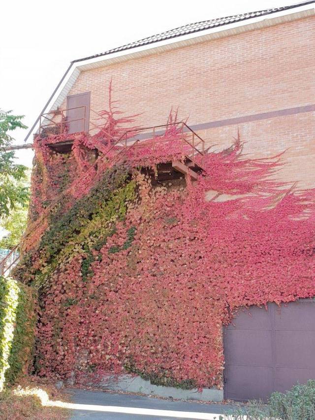 daily picdump 95 pics 25.html - 95 HD Photos | Premium Gallery 2018