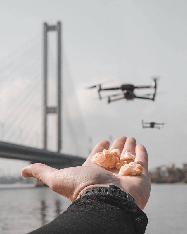 daily picdump 95 pics 25.html - 95 HD Photos | Premium Gallery 2018