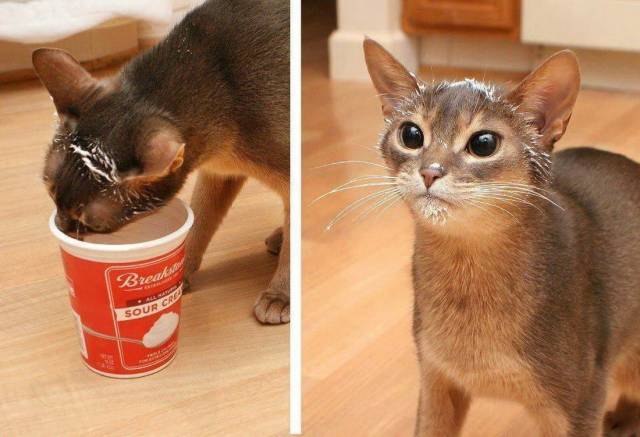 Daily Picdump