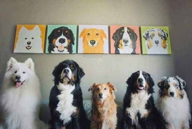daily picdump 95 pics 27.html - 95 HD Photos | Premium Gallery 2018