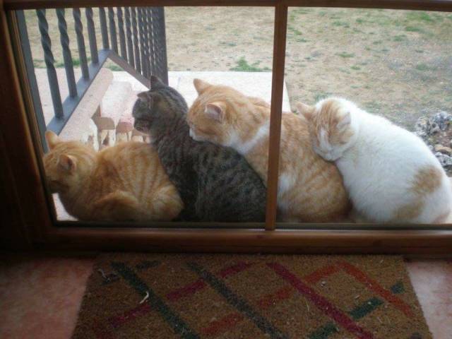 daily picdump 95 pics 27.html - 95 HD Photos | Premium Gallery 2018