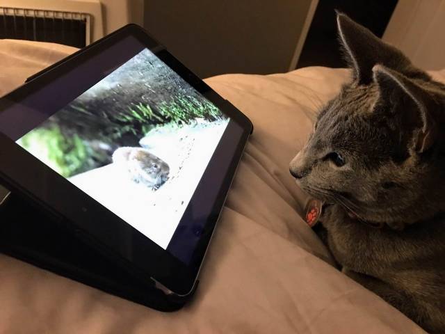 daily picdump 95 pics 27.html - 95 HD Photos | Premium Gallery 2018