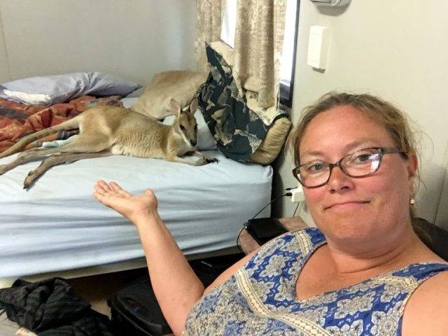 daily picdump 95 pics 27.html - 95 HD Photos | Premium Gallery 2018