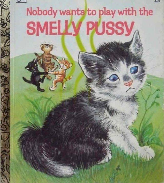 Daily Picdump