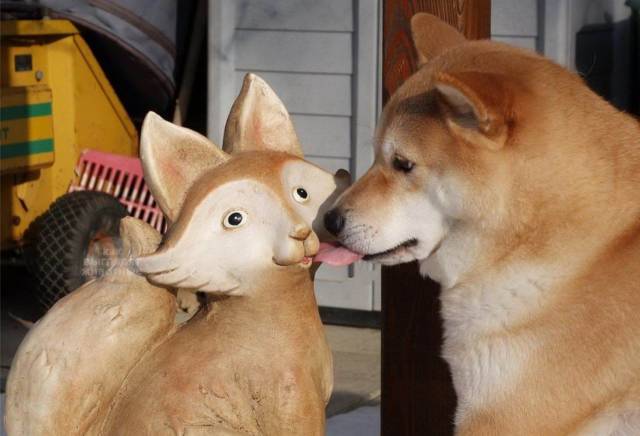 daily picdump 98 pics 49.html - 98 HD Photos | Premium Gallery 2018