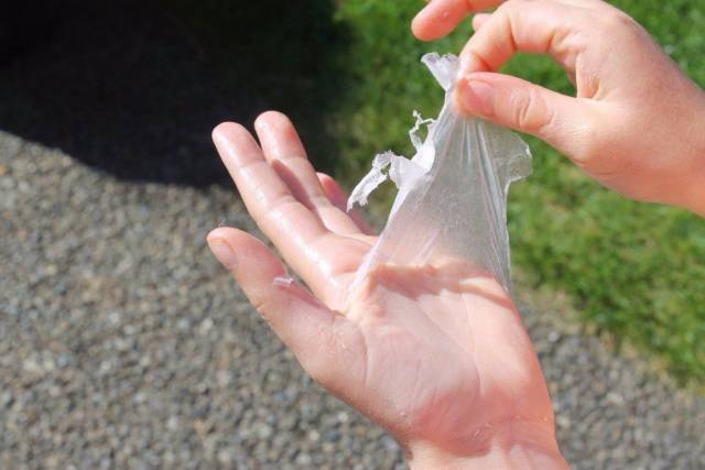 daily picdump 98 pics 49.html - 98 HD Photos | Premium Gallery 2018