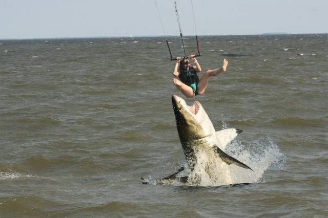 daily picdump 98 pics 49.html - 98 HD Photos | Premium Gallery 2018