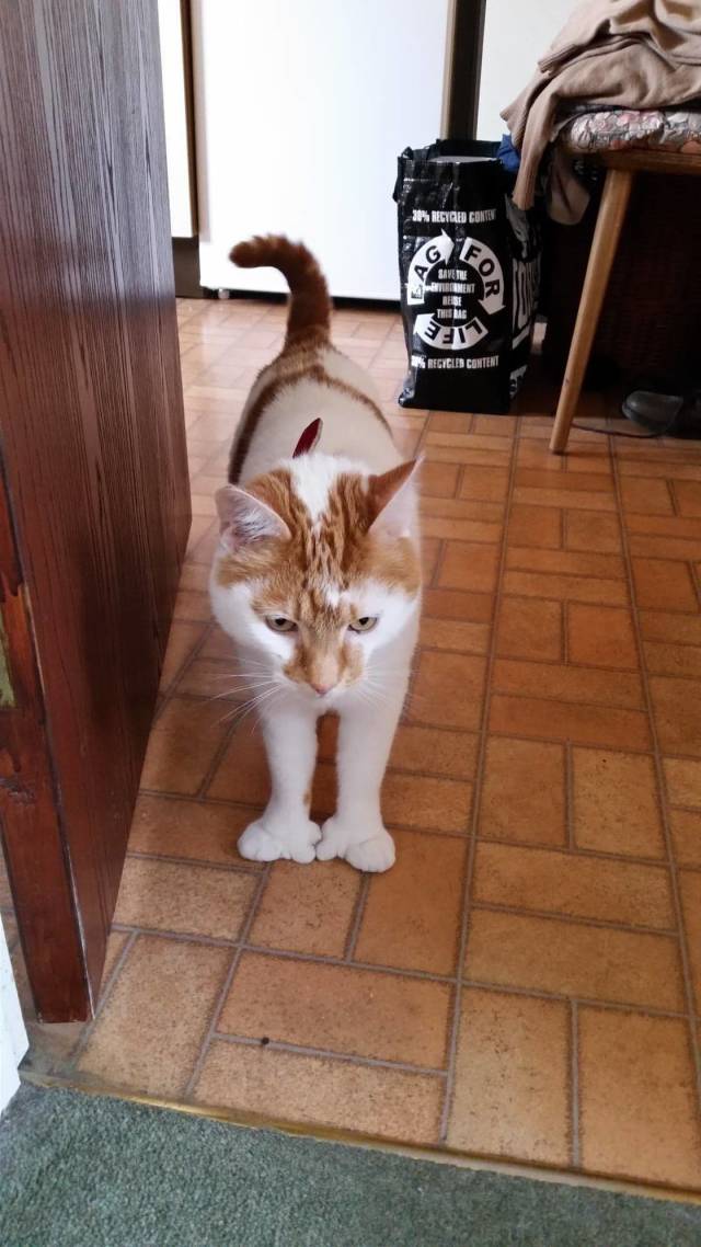 daily picdump 98 pics 49.html - 98 HD Photos | Premium Gallery 2018