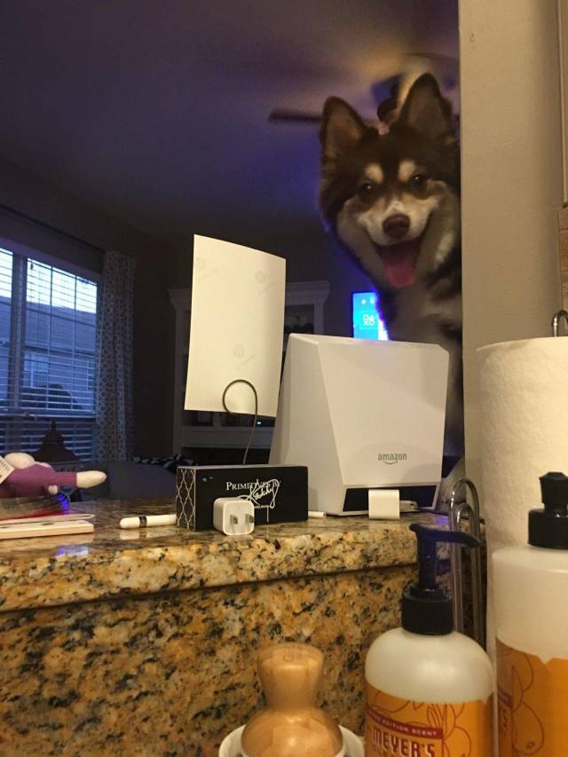 daily picdump 98 pics 49.html - 98 HD Photos | Premium Gallery 2018