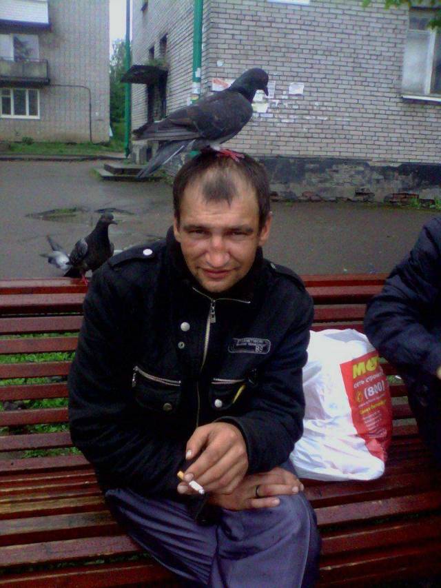 daily picdump 98 pics 49.html - 98 HD Photos | Premium Gallery 2018