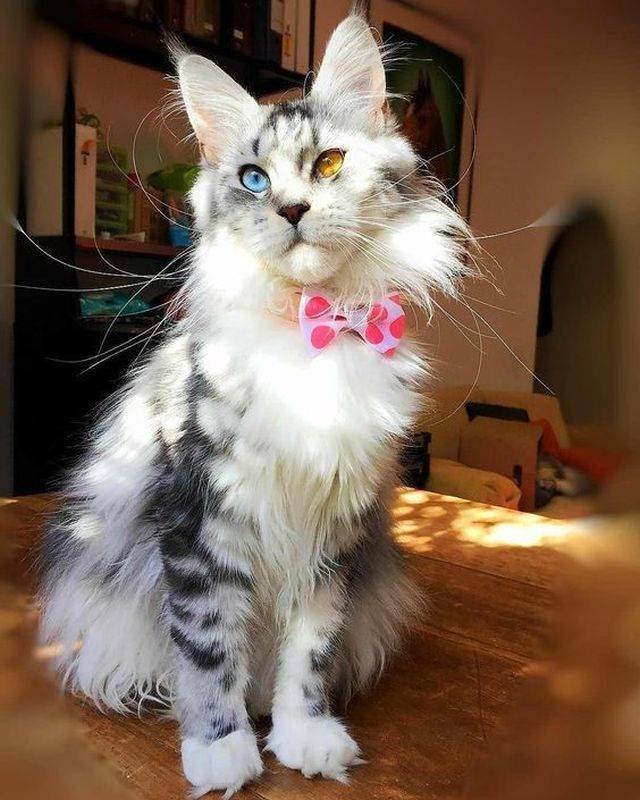 daily picdump 98 pics 49.html - 98 HD Photos | Premium Gallery 2018