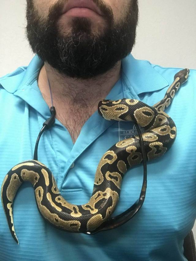 daily picdump 98 pics 49.html - 98 HD Photos | Premium Gallery 2018