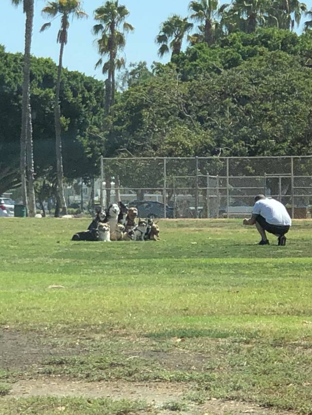 funny picdump 52 pics 1.html - 52 HD Photos | Premium Gallery 2018