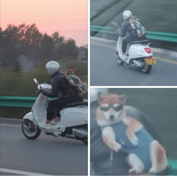 morning picdump 50 pics 21.html - 50 HD Photos | Premium Gallery 2018