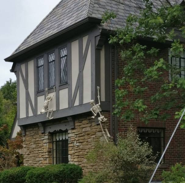 morning picdump 50 pics 21.html - 50 HD Photos | Premium Gallery 2018