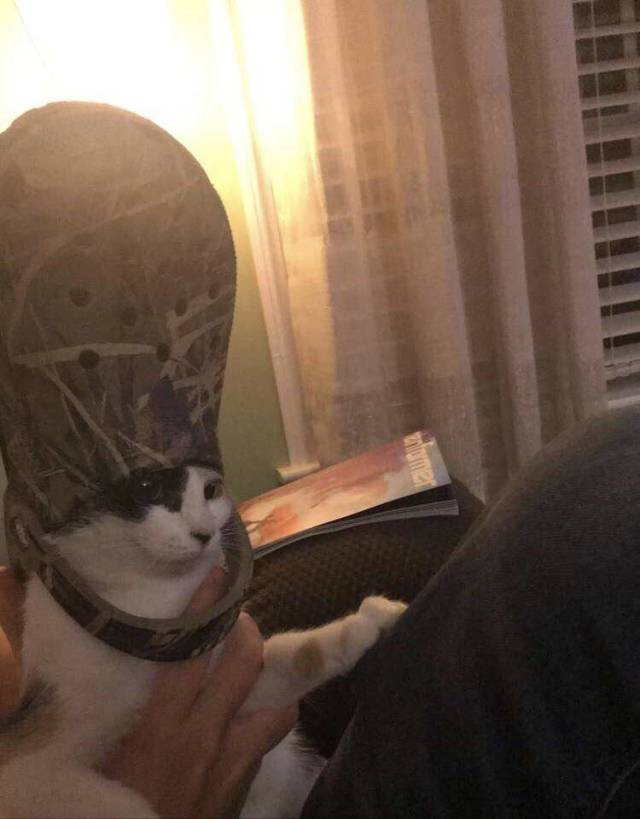 morning picdump 50 pics 21.html - 50 HD Photos | Premium Gallery 2018