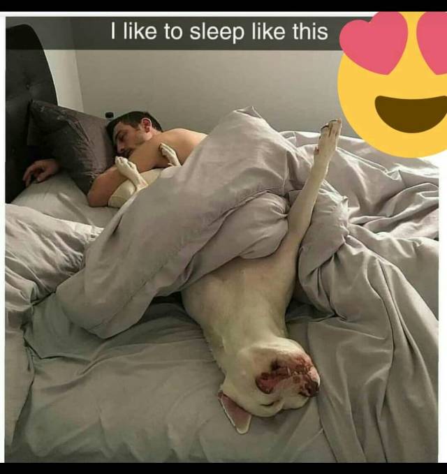 morning picdump 50 pics 21.html - 50 HD Photos | Premium Gallery 2018