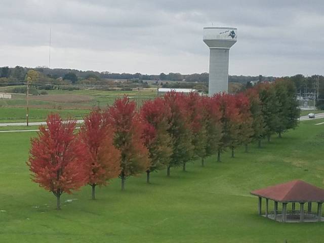 Daily Picdump [WEEKEND EDITION]