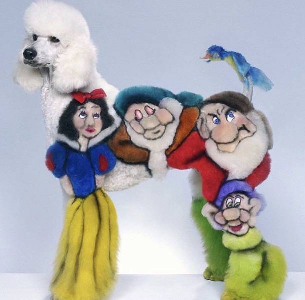 daily picdump weekend edition 65 pics 7.html - 65 HD Photos | Premium Gallery 2018