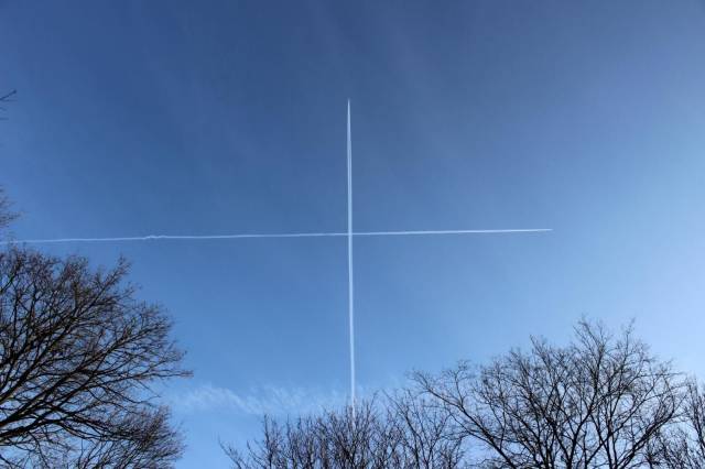 daily picdump weekend edition 65 pics 7.html - 65 HD Photos | Premium Gallery 2018