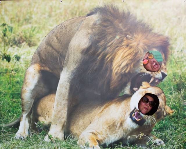 daily picdump weekend edition 65 pics 7.html - 65 HD Photos | Premium Gallery 2018