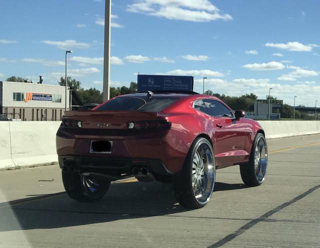 daily picdump weekend edition 65 pics 7.html - 65 HD Photos | Premium Gallery 2018