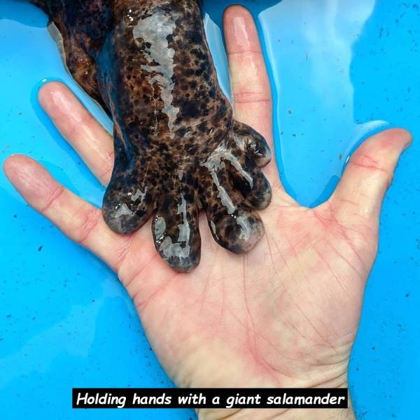 daily picdump weekend edition 65 pics 7.html - 65 HD Photos | Premium Gallery 2018