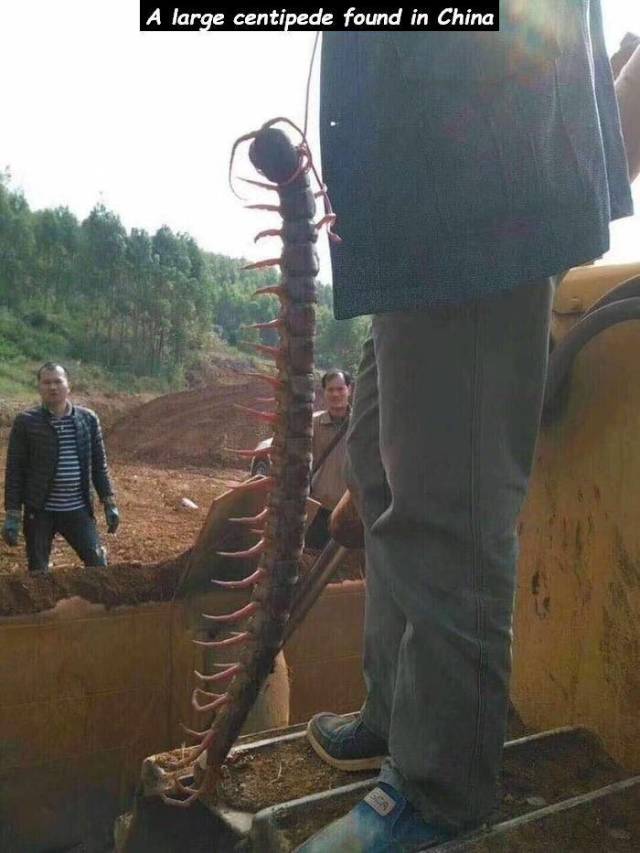 daily picdump weekend edition 65 pics 7.html - 65 HD Photos | Premium Gallery 2018