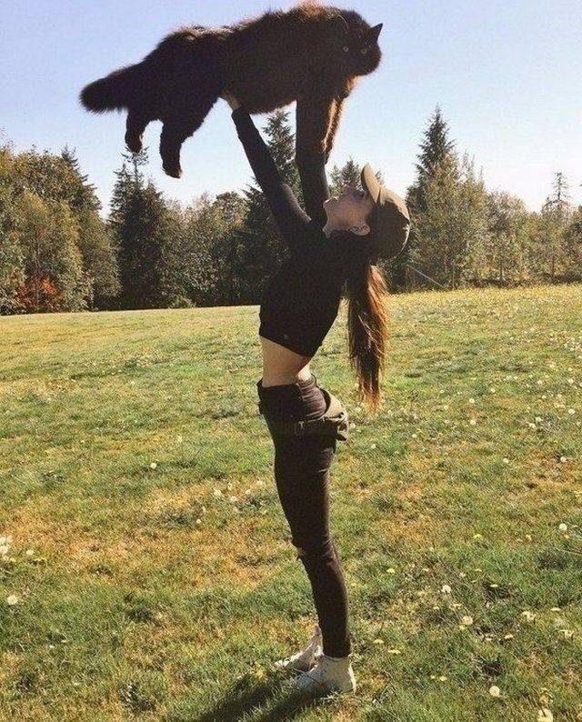 daily picdump weekend edition 65 pics 7.html - 65 HD Photos | Premium Gallery 2018