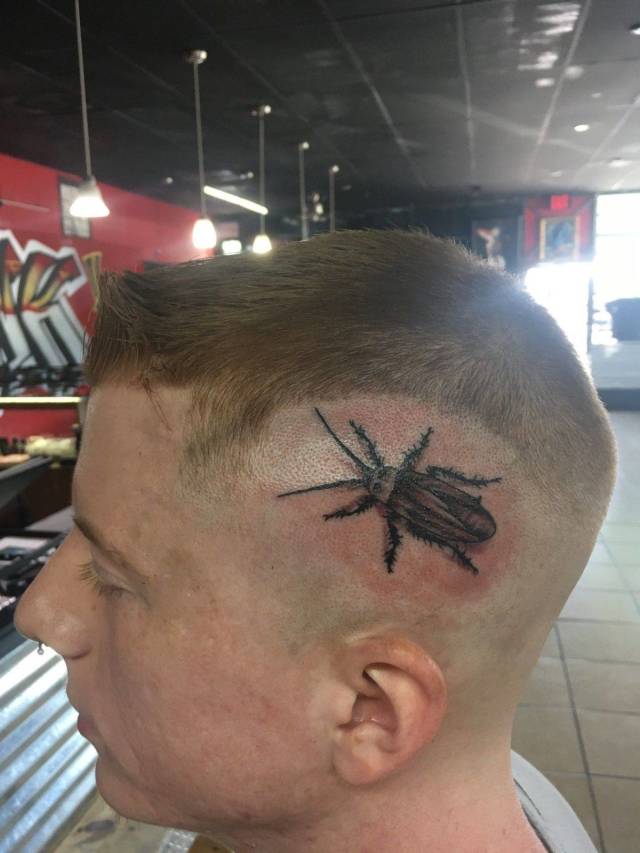 daily picdump weekend edition 65 pics 7.html - 65 HD Photos | Premium Gallery 2018