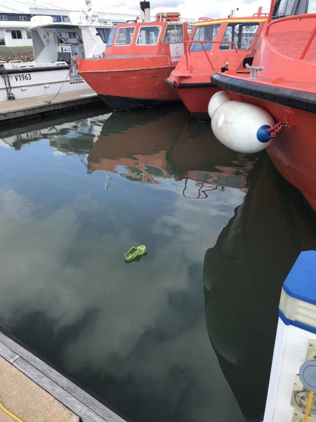 daily picdump weekend edition 65 pics 7.html - 65 HD Photos | Premium Gallery 2018