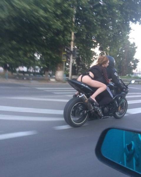 Daily Picdump