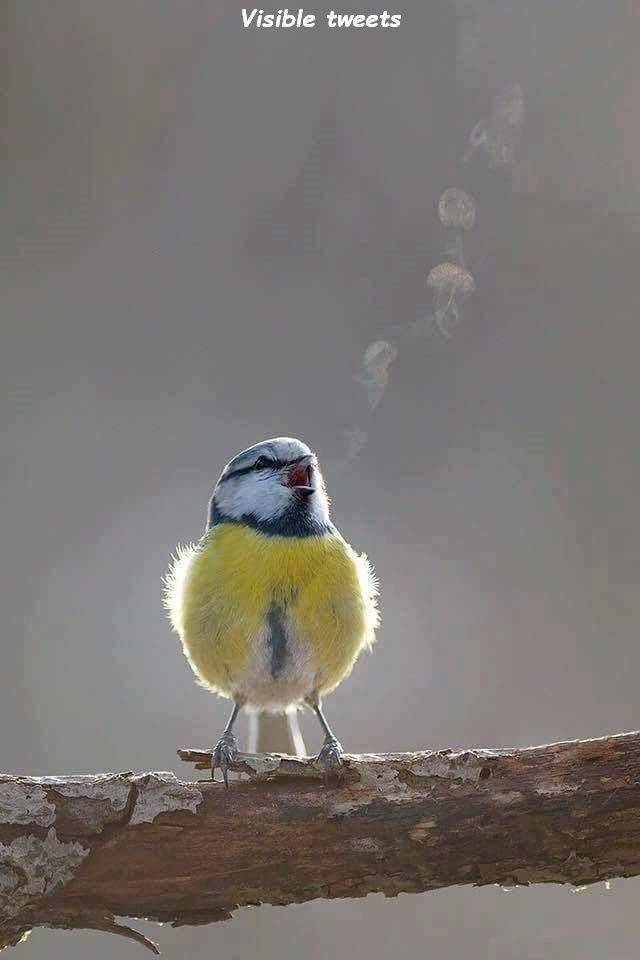 daily picdump 94 pics 38.html - 94 HD Photos | Premium Gallery 2018